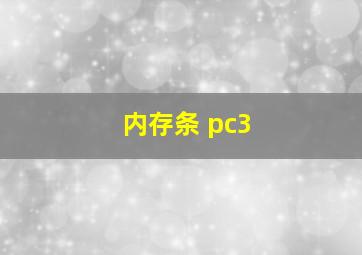 内存条 pc3